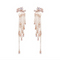 Shining Star Tassel Earrings Back Hanging Exquisite Earrings Earring Dorado