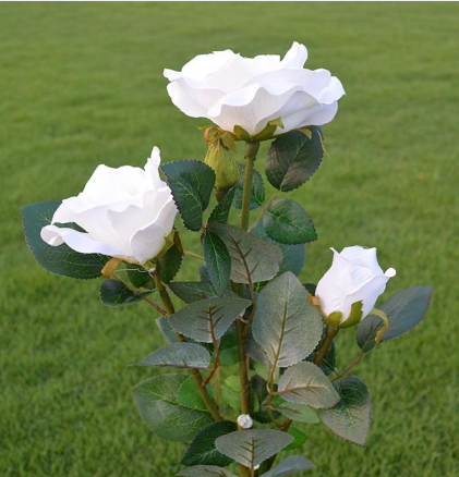 Linterna Romántica con Rosas Blancas y 3 Luces LED - Image 3