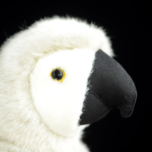 Loro Guacamayo que Emite Sonidos al Comprimirse - Image 11