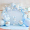 Guirnalda de Globos Premium