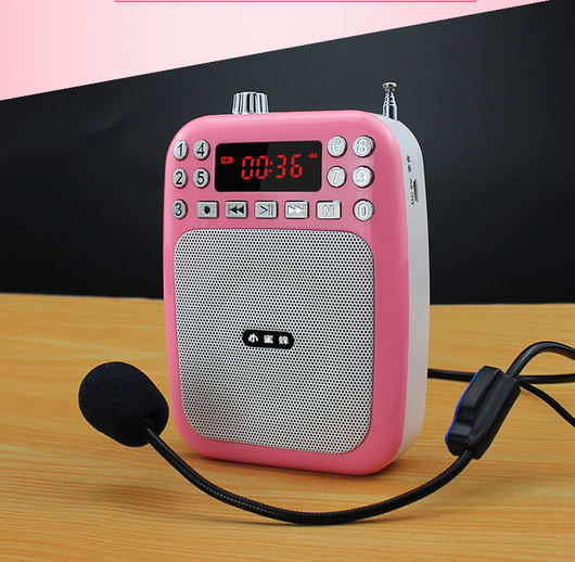 Altavoz Portátil para Cintura con Amplificación Profesional - Image 3