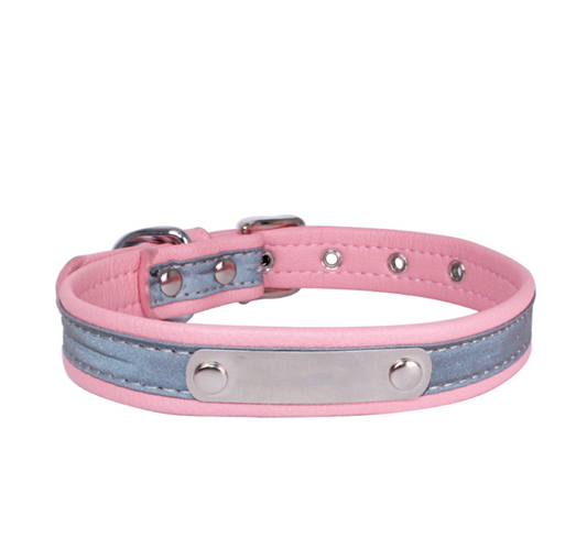 Collar Antiextravío para Perros en Acero Inoxidable con Grabado Personalizado