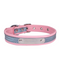Collar Antiextravío para Perros en Acero Inoxidable con Grabado Personalizado