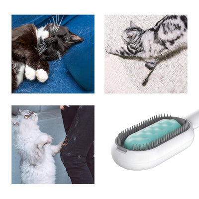 Cepillo Deslanador 4 en 1 para Gatos con Depósito de Agua - Image 4