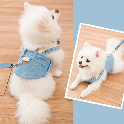 Conjunto de Arnés y Correa Adorable para Perro - Image 4
