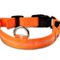 Orange L Chargable