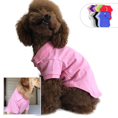Polo para Mascotas - Elegancia y Comodidad - Image 10