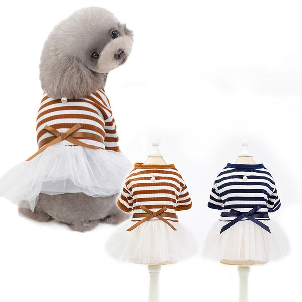 Ropa para Perros Pequeños - Disfraz Osito Teddy