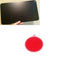 295 X 208 Mm 1 Peça