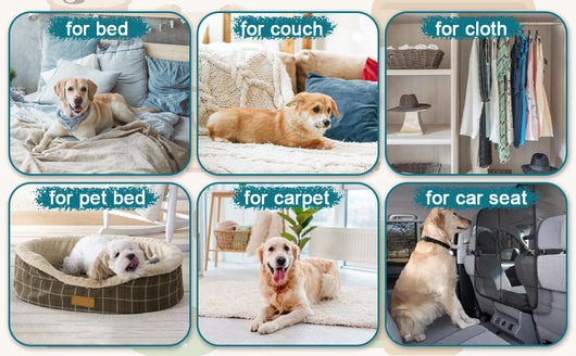 Pack 3 Removedores de Pelusa para Mascotas - Limpiador Reutilizable para Ropa, Muebles y Autos - Image 14