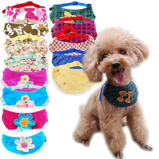 Toalla Absorbente para Mascotas