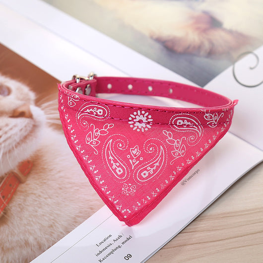 Pañuelo Triangular Absorbente para Collar de Perro - Image 16