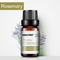Naranja Dulce 10 Ml