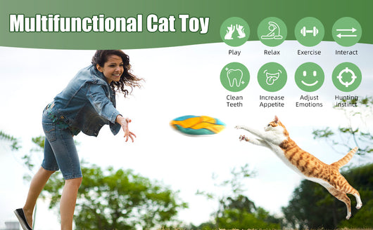 Juguetes Interactivos con Catnip para Gatos - Disco Volador, Peluches y Sonidos Crujientes - Image 13