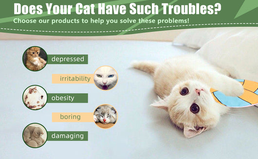 Juguetes Interactivos con Catnip para Gatos - Disco Volador, Peluches y Sonidos Crujientes - Image 14