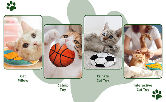 Juguetes Interactivos con Catnip para Gatos - Disco Volador, Peluches y Sonidos Crujientes - Image 15