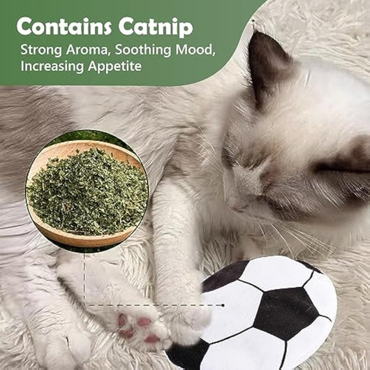 Juguetes Interactivos con Catnip para Gatos - Disco Volador, Peluches y Sonidos Crujientes - Image 5