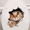 Gato 1