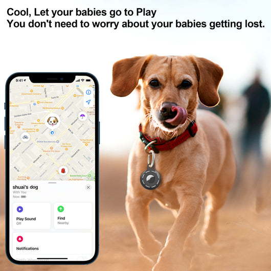 Localizador GPS para Perros con Funda Protectora de Silicona Antiextravío - Image 6