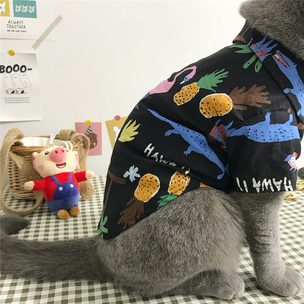 Ropa para Gatos - Diseño Cómodo y Elegante