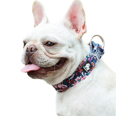 Collar Hidratante Antiderrames para Perros Pequeños, Medianos y Grandes - Image 4