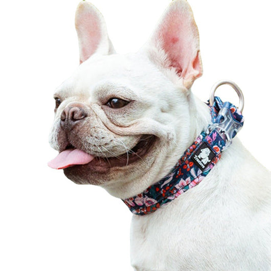 Collar Hidratante Antiderrames para Perros Pequeños, Medianos y Grandes - Image 4