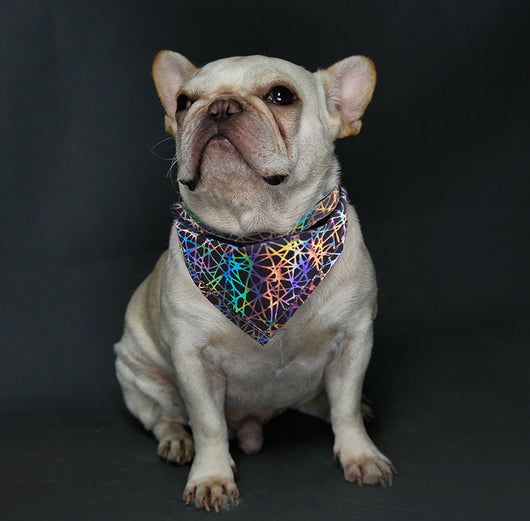 Pañuelo Absorbente para Perros - Toalla Saliva Bandana - Image 9