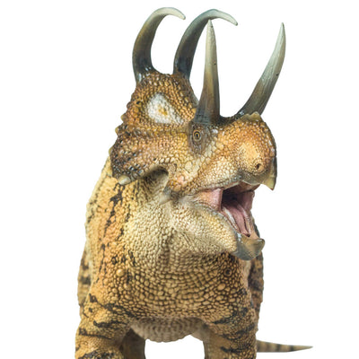 Compañero de Crecimiento Perez: Tu Dragón Motivador Interactivo - Image 2