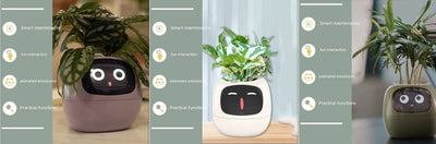 Maceta Inteligente con IA: 49 Expresiones y 7 Sensores para Plantas Felices - Image 54