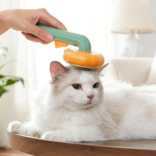 Cepillo de Aseo Calabaza para Mascotas - Deslanador Automático para Perros y Gatos - Image 2