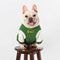 Ropa de Moda para Mascotas Otoño e Invierno