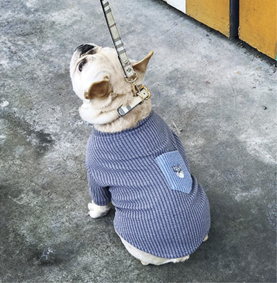 Playera para Perro con Bolsillos Contrastantes y Bordado - Image 4