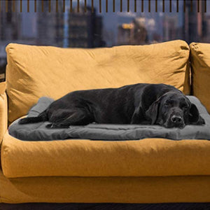 Cama Portátil para Perros Impermeable - Colchoneta Viaje y Camping - Image 20