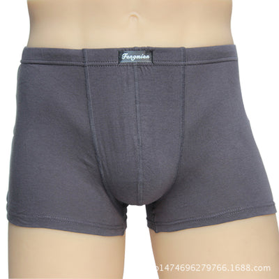 Pantalones Cortos de Algodón para Hombre - Image 5