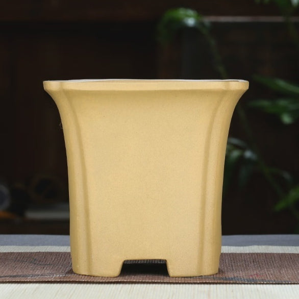 Maceta de Arcilla Púrpura para Orquídeas - Cerámica Artesanal