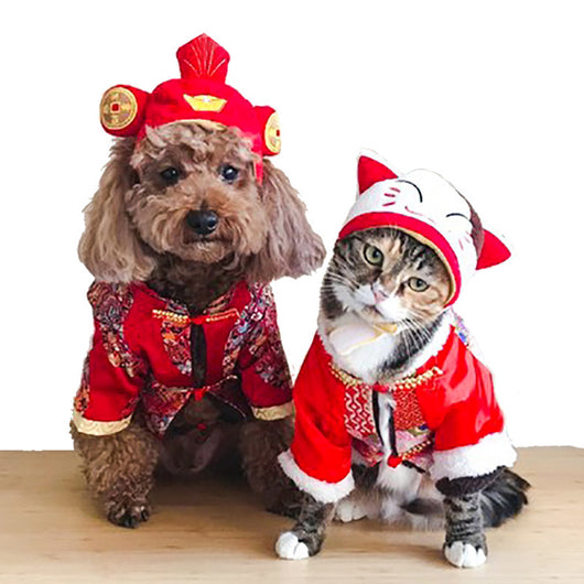 Gorro Cálido Disfraz Mascota Perro Gato - Accesorios Fotográficos - Image 43
