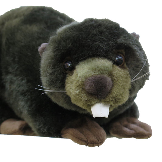 Peluches Animales del Río - Juguetes Suaves y Seguros - Image 2