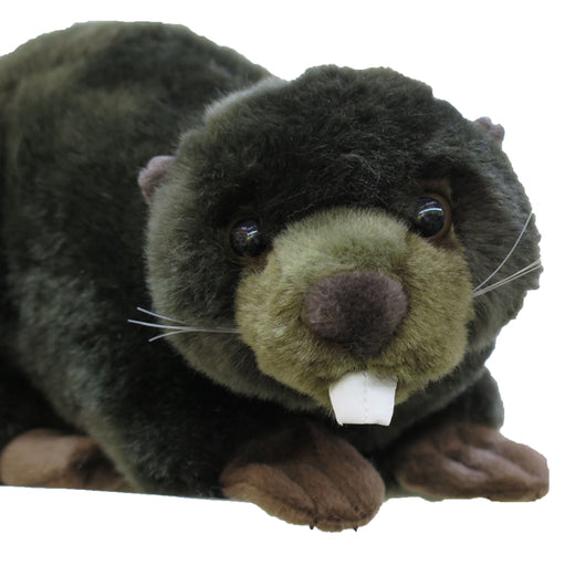 Peluches Animales del Río - Juguetes Suaves y Seguros - Image 2