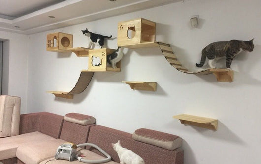 Arenero Felino Montado en Pared de Madera - Image 3