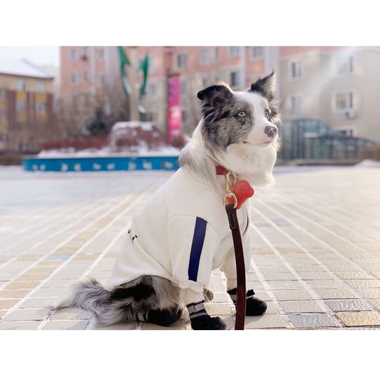Ropa de Moda para Mascotas - Colecciones Exclusivas para Perros y Gatos - Image 2