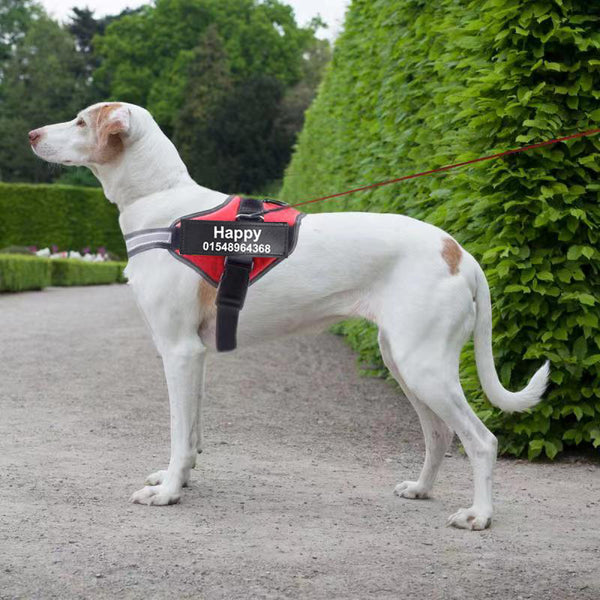 Arnés Reflectante Personalizado para Perros sin Tirón - Ajustable y Transpirable