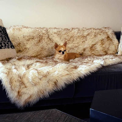 Cama para Perro Impermeable y Lavable - Sofá Cómodo Blanco con Detalles Café