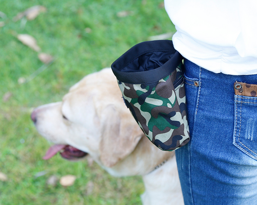 Mochila Táctica Multiusos para Mascotas - Image 9