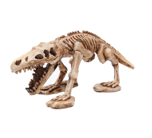 Cráneo Animal de Plástico - Réplica Esqueleto Decorativo - Image 11