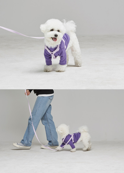 Correa para Mascotas Macaron Diseño Trendy - Image 19