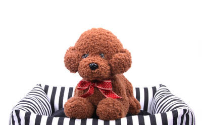 Cama Acogedora para Perros con Diseño de Casa - Image 3