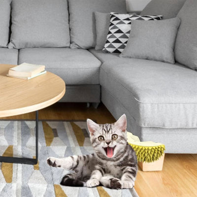 Cepillo Masajeador Durian para Gatos y Perros - Rascador de Pared Multifuncional - Image 4