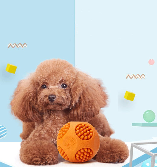Orange textured pet toy ball with nubs and a bone-shaped logo, measuring 6cm, designed for chewing and sounding. - Image 2