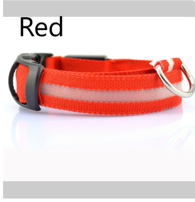 Collar LED de Seguridad para Perros - Image 12