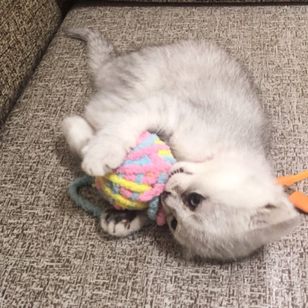 Juguete Interactivo para Gatos - Vara con Bola de Estambre